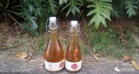 【古法】白蚁养生酒制作工艺